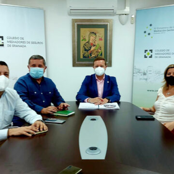 El Colegio de Mediadores de Seguros de Granada mantiene una reunión institucional con DKV