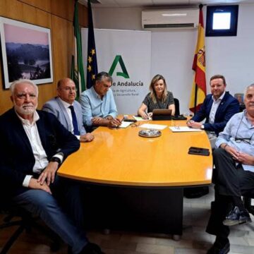 El Consejo Andaluz de Mediadores de Seguros redobla sus esfuerzos para conseguir el aseguramiento de las actividades industriales El Consejo Andaluz de Mediadores de Seguros redobla sus esfuerzos para conseguir el aseguramiento de las actividades industriales