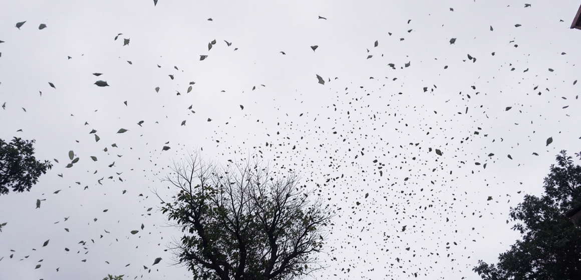 Alerta amarilla por lluvias: qué precauciones tomar y cómo responde el seguro ante un temporal